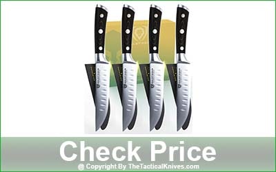 DALSTRONG Gladiator Series 4-Piece Straight Edge Steak Knife Set