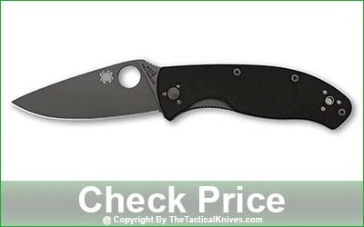 Spyderco Tenacious Everyday Carry Pocket Knife