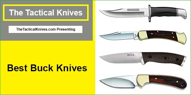 Best Buck Knives