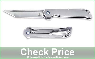 Kizer Cutlery Begleiter Pocket Knife V4458