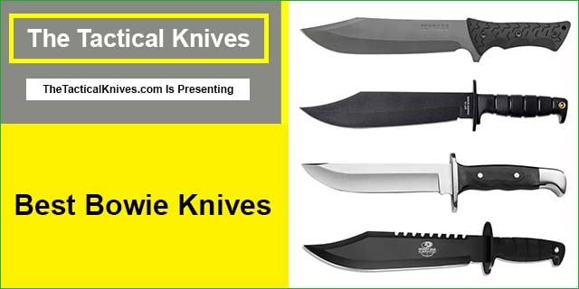 Best Bowie Knives