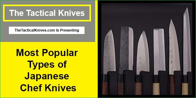 Most Popular Types of Japanese Chef Knives