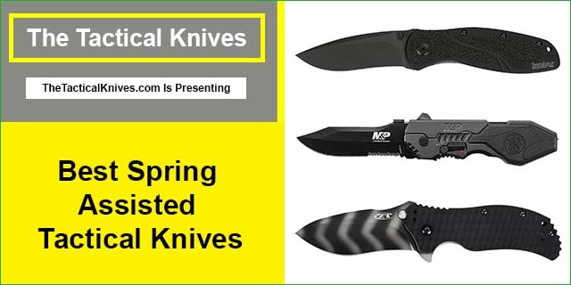 Best Spring Assisted Tactical Knives