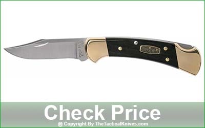 BUCK 110 50th Anniversary Folding Hunter Knife - 110BRS-50
