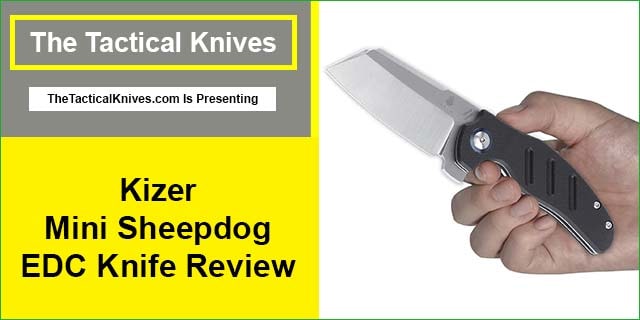 Kizer Mini Sheepdog EDC Knife Review