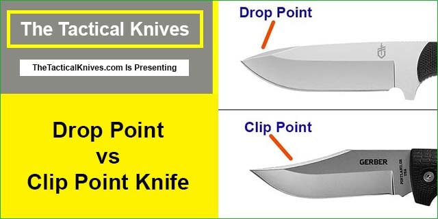 Drop Point vs Clip Point Knife
