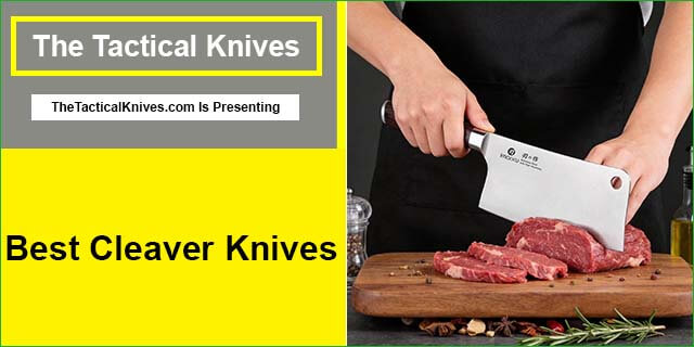 Best Cleaver Knives