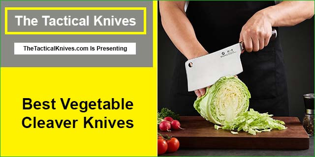 Best Vegetable Cleaver Knives